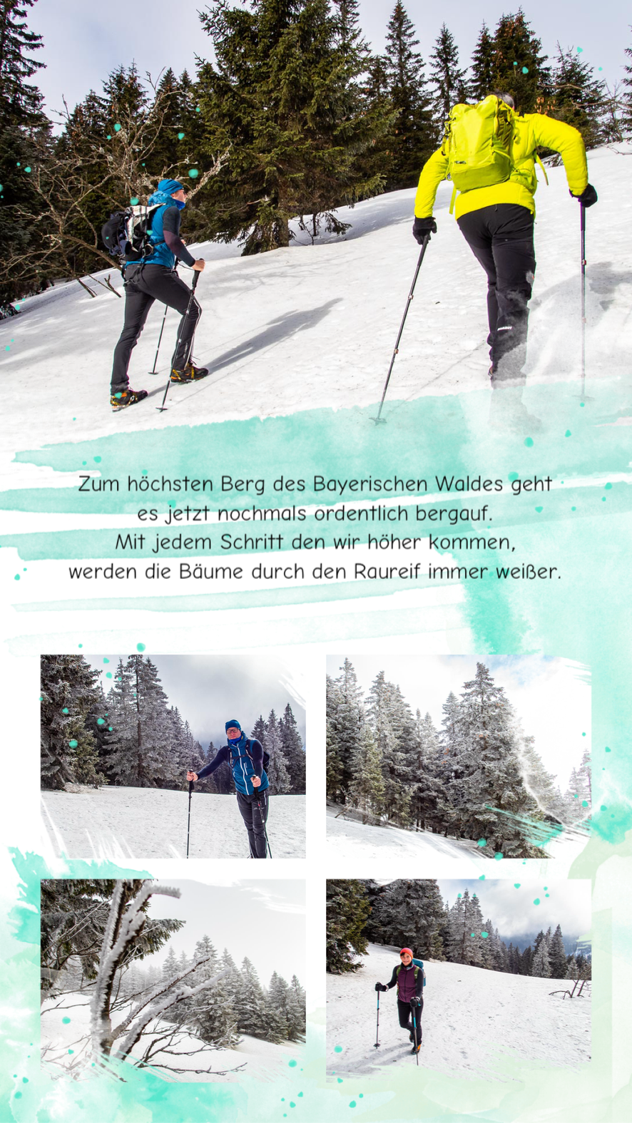 Vereiste Pfade und Winterstimmung beim Winteraufstieg im Bayerischen Wald