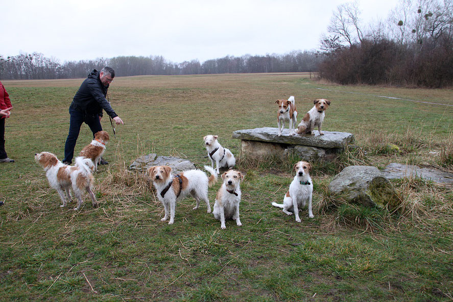 Gruppenfoto vom 60. Kromi-Spaziergang in Braunschweig am 10.03.2019