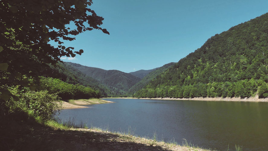 lac roumanie bigousteppes foret