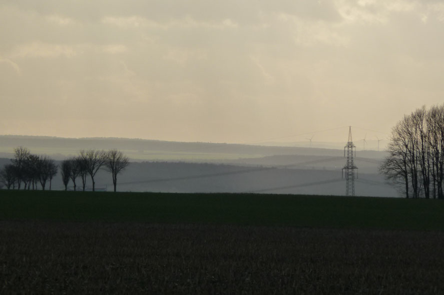 Blick aus dem Fenster.      November 2016