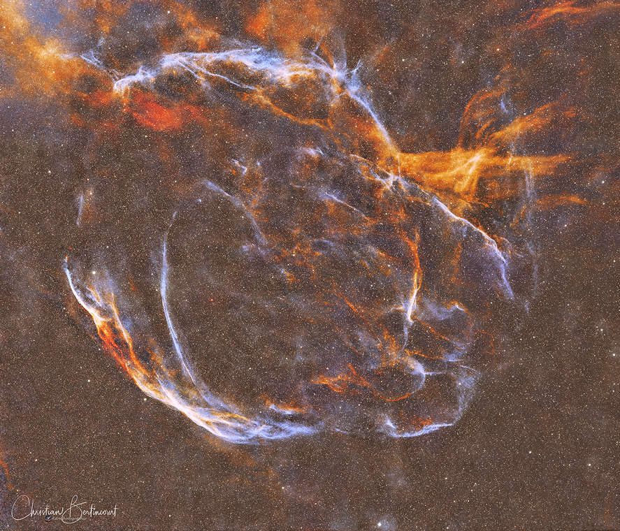 SH2-91, SH2-94, SH2-96, rémanent de supernova