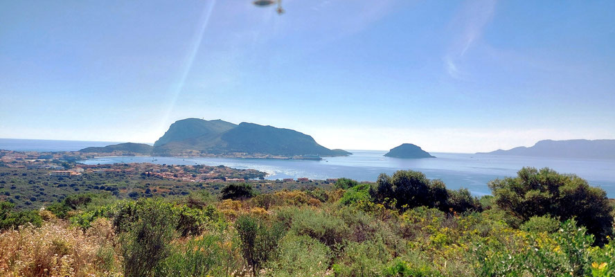 Blick auf die Halbinsel Capo Figari (Naturreservat)