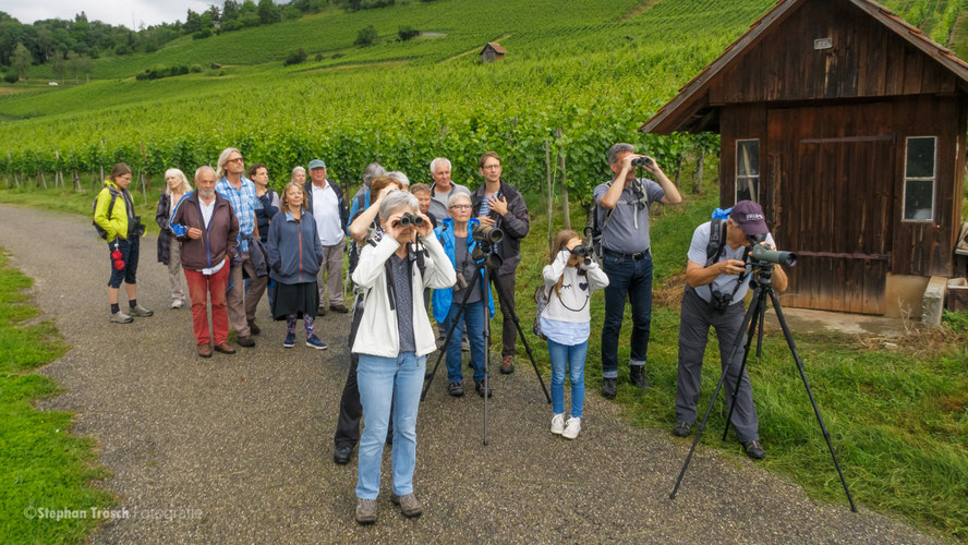 Turdus-Abendspaziergang | Hallau 2018 (Foto: Stephan Trösch)