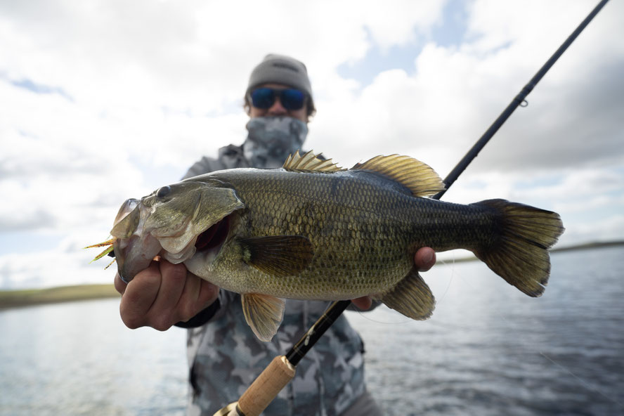 another one - maybe half the size we hoped for but after days without Bass who am I to complain!