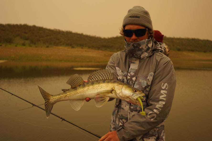 I was really hoping to catch one nice Bass in this apocalyptic atmosphere for a cool picture but all we got once again were these guys...