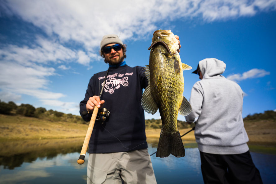 only Bass I caught on the Senko (Westin Stick Worm)