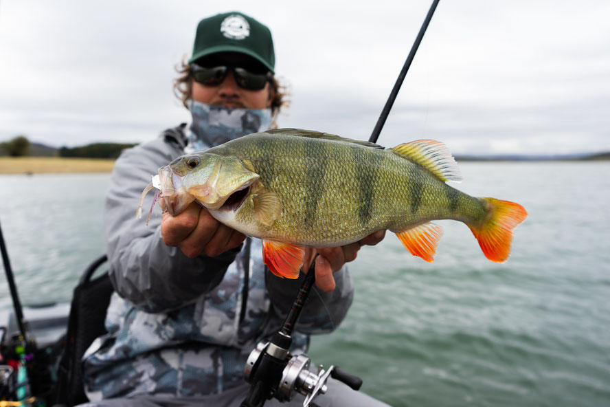 not that big for this lake but my biggest on a Noike Kaishin Chatterbait - very cool bite!