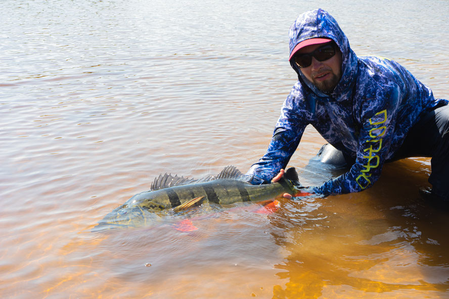 releasing another nice +15lbs fish that I wished Dale would catch