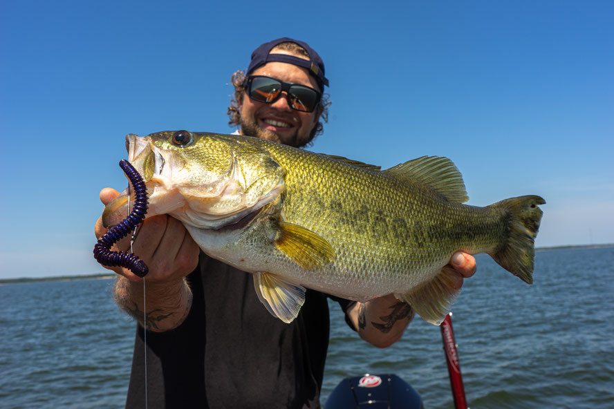 and the second one - on my new favourite big Worm from 6th Sense Fishing
