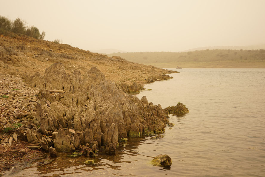 fishing in the Sahara dust