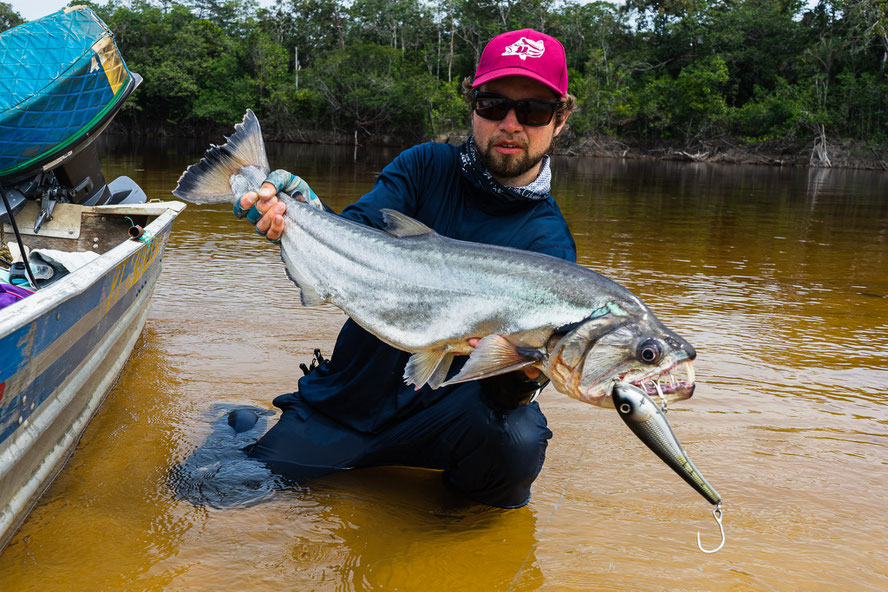 one of two big Payaras I landed on the R2S Wide Glide, still thinking about the absolute beast of a Payara that swallowed one of these lures in whole and just cut the line. loosing that fish almost hurt as much as loosing that lure...