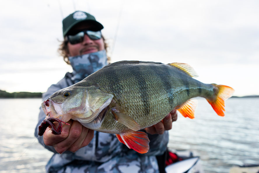 one of my favorite pictures of this trip - this perch was just missing 2cm for the 50