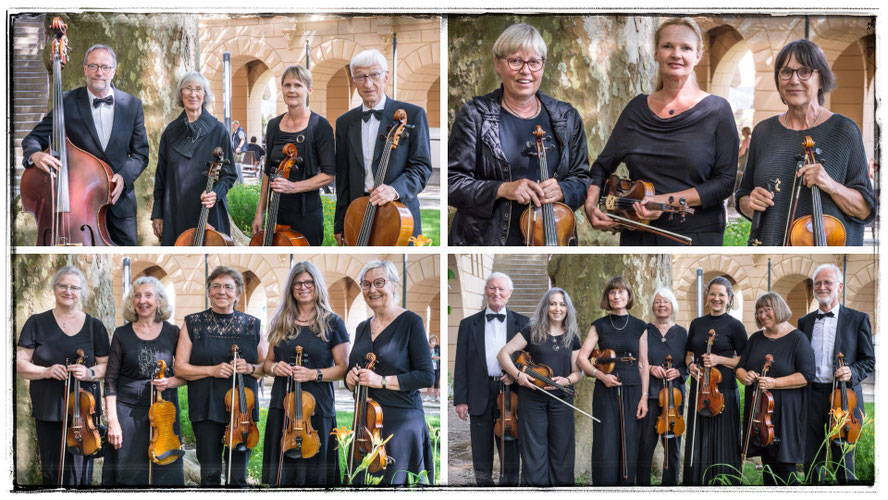 Collegium musicum Schwerin