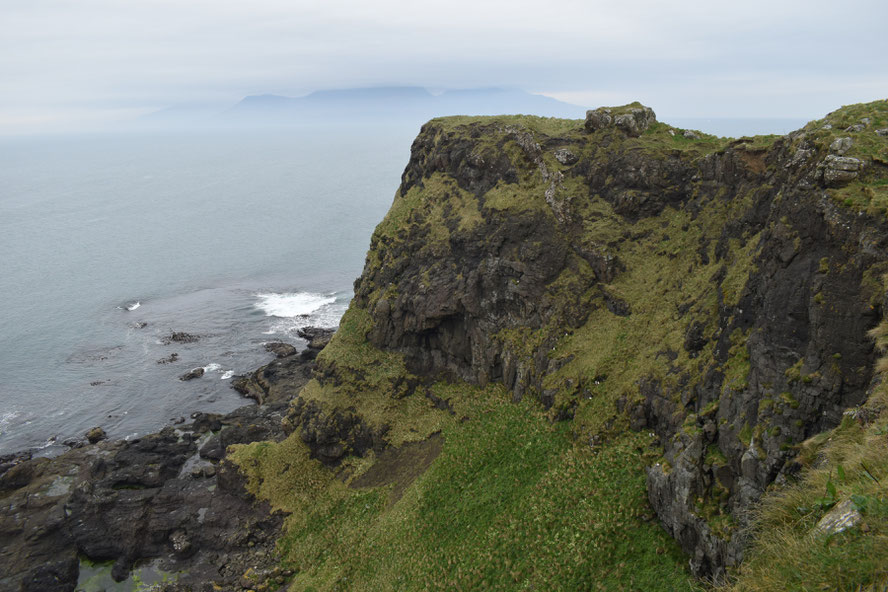 Horse Island, Muck