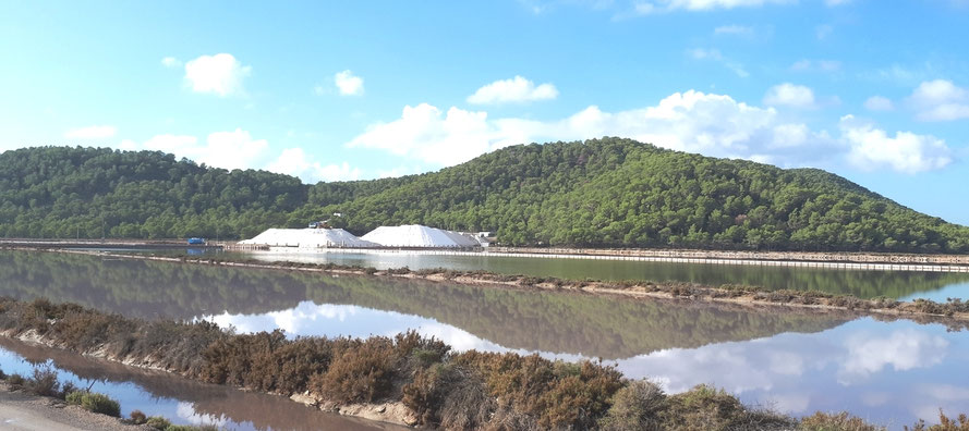 Salzgewinnung in Ses Salines
