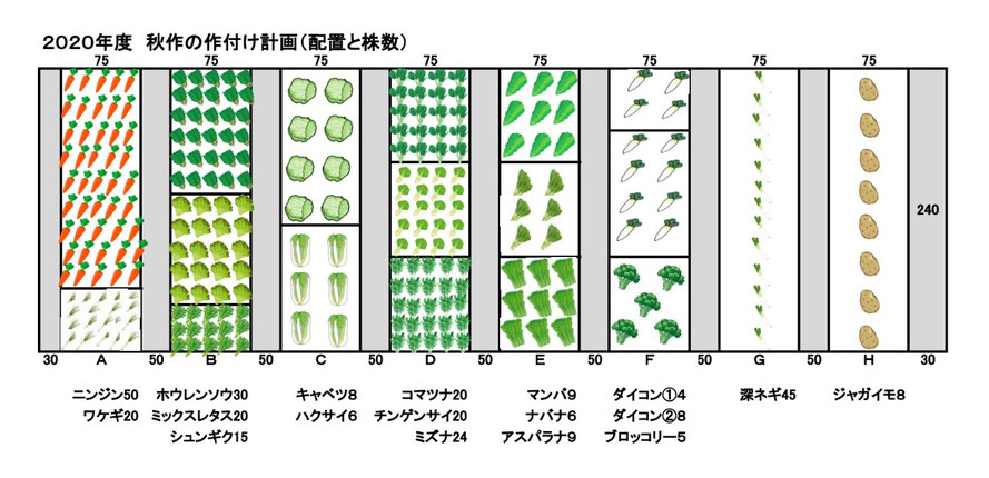 八つの各畝で育てる野菜の種類と株数、植える配置位置を示す
