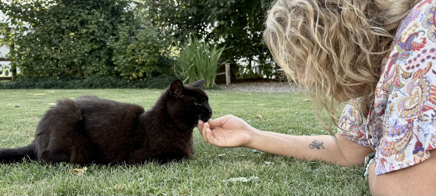 Tierkommunikation & Yoga in Rapperswil-Jona