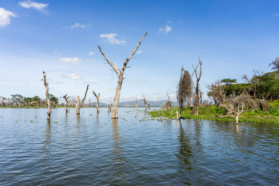Lake Naivasha, Kenya