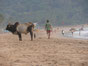 Strand Indien