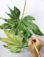 植物の表情を探る課題