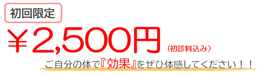 初回限定2500円案内　施術を体験して効果を実感してみましょう