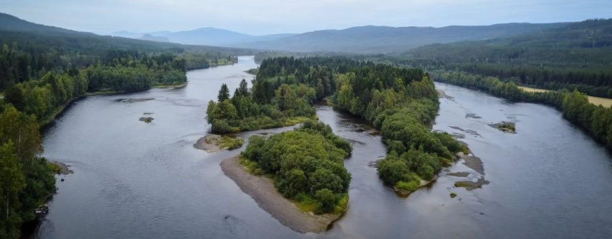 ... und nochmals die Glomma bei Koppang, Sundfloen Strecke unterbrochen von vielen Inseln, Flachwasserzonen und tiefen schnellen Rinnen. Ideal für die Äschen- und Bachforellenfischerei.