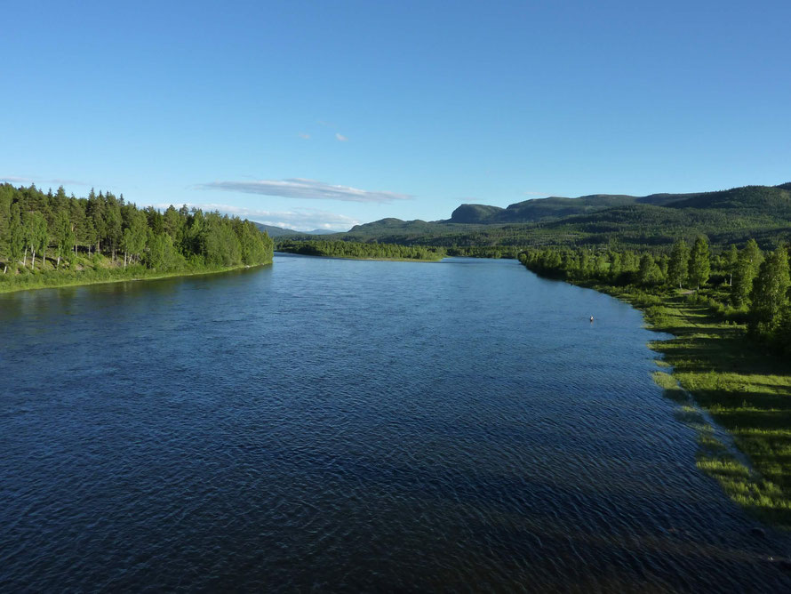 Glomma bei Koppang (N). "Such a big river!"