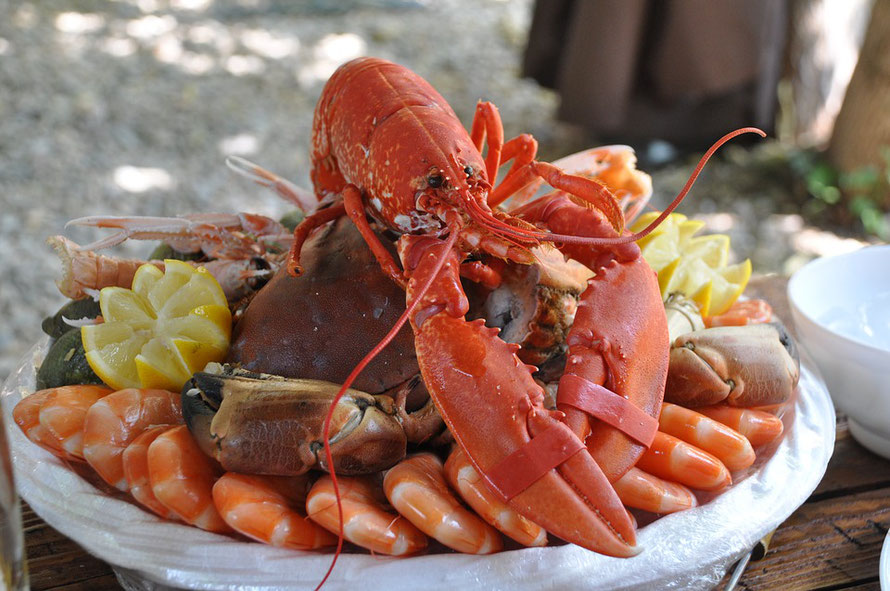 Les fruits de mer sont des aliments nutritifs parfait pour l'automne.