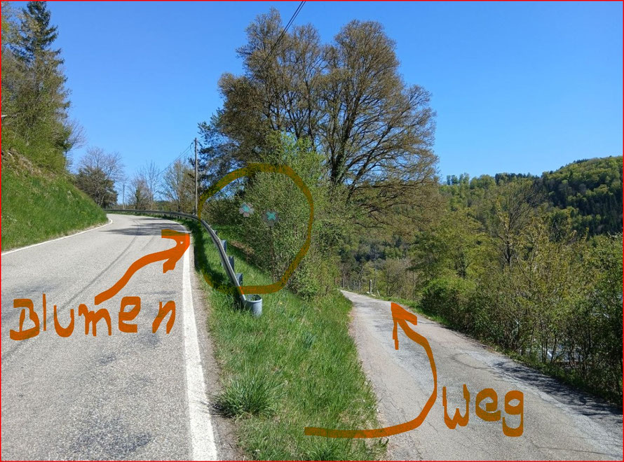 noch vor den Holzblumen rechts in den schmalen Weg runterfahren