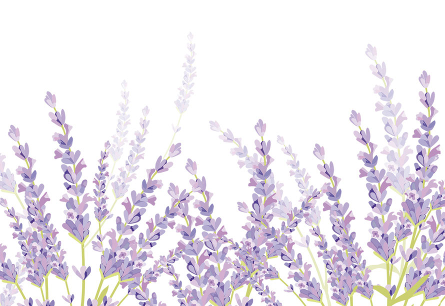 nachhaltige ECO Vliesbordüre mit Blütenmotiven in Aquarell Art - Lavendel