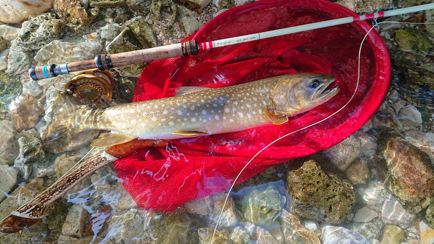 TS-design Rod - fly-taka55 ページ! TS-design Rod - fly-taka55 ページ!