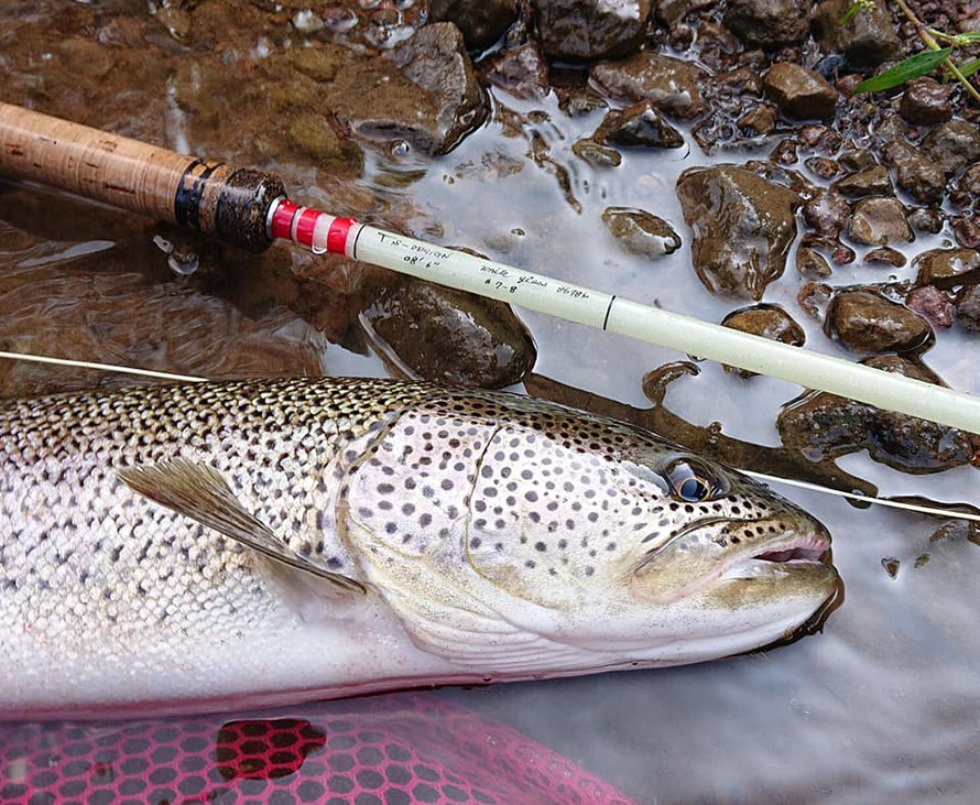 TS-design Rod - fly-taka55 ページ! TS-design Rod - fly-taka55 ページ!