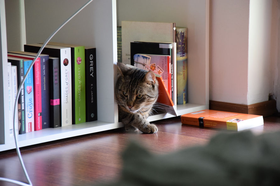 "Da schmeißt man das eine Buch raus und schon fallt einem das andere auf den Kopf - so ein Blödsinn."