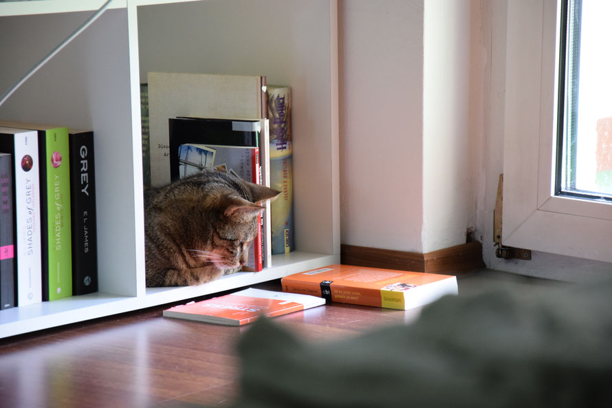 "Jetzt hab ich ein bisschen mehr Platz. Hm wer liest denn da ein Stress-Buch? Also ich hab keinen Stress."