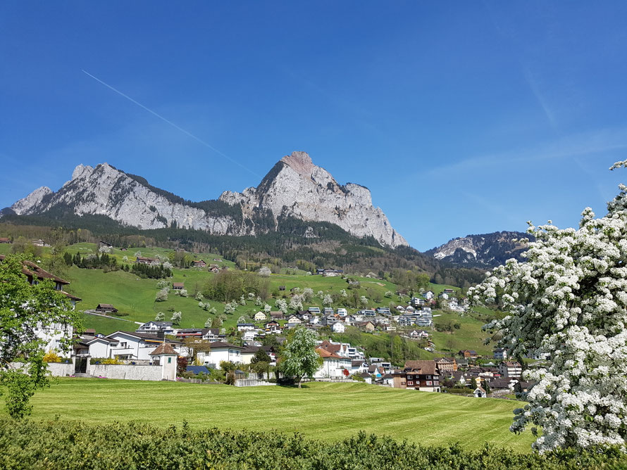 Schwyz © Bellone Franchise Consulting GmbH