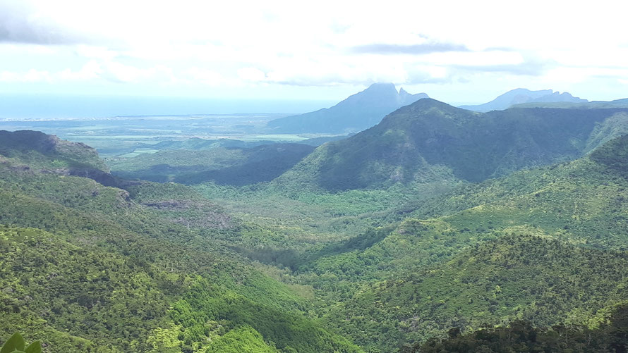 Georges Viewpoint