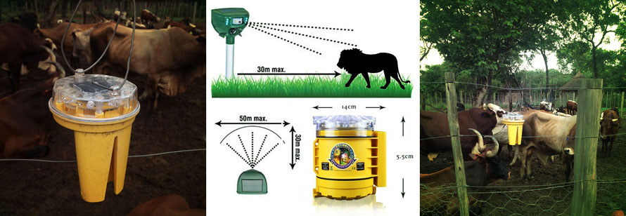 Jafuta Foundation - Community - Human / Wildlife conflict resolution - predator lights - Zimbabwe