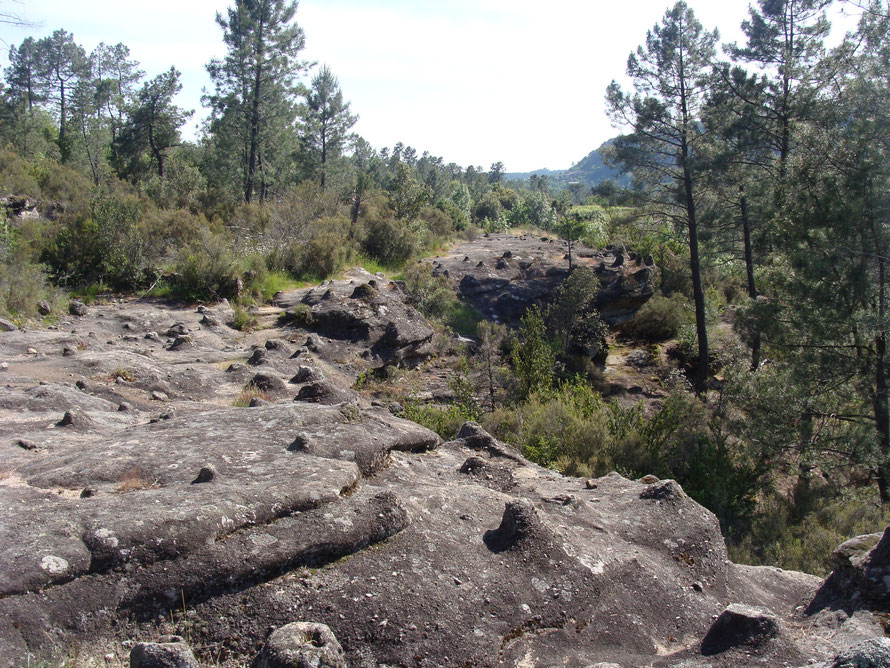 Promenade à l'abri sous roche de Vernon, les rochers aux tétines, curiosité géologique.