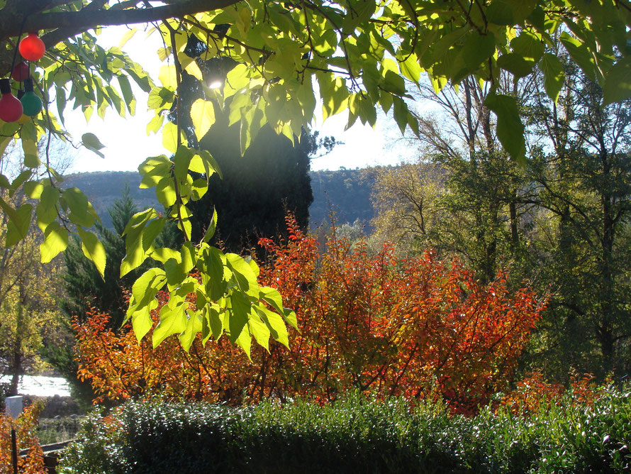 En automne dans le jardin de la maison en bord de rivière (visible en arrière plan à gauche de la photo)