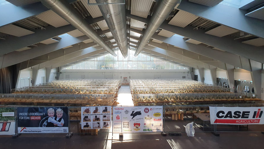 Die Halle ist mit Käfigen ausgestattet