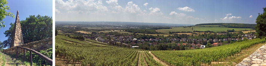 Ausblick vom Goethestein bei Wiesbaden-Frauenstein