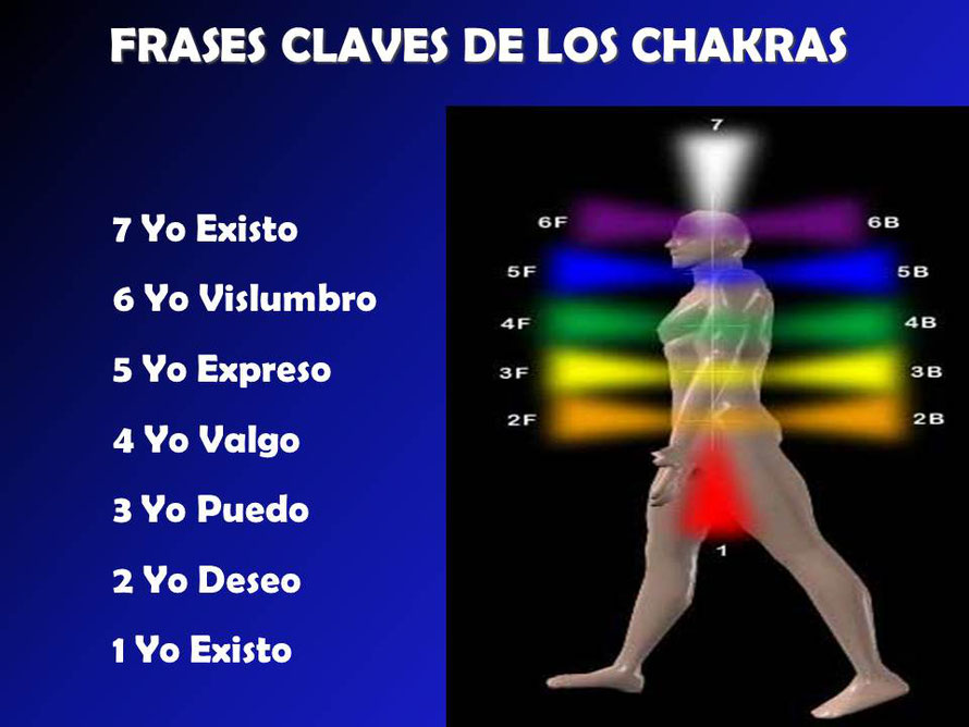 Son siete chakras principales y muchos menores. es importante tenerlos abiertos y con buena amplitud. Nivelamos y abrimos los Chakras.