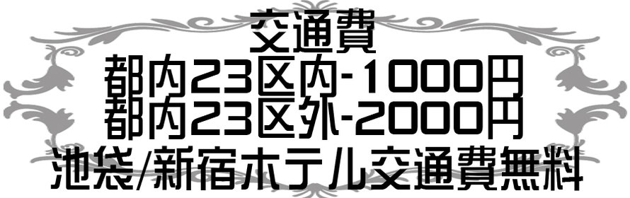 出張ホストDearPlatinum30-40の交通費