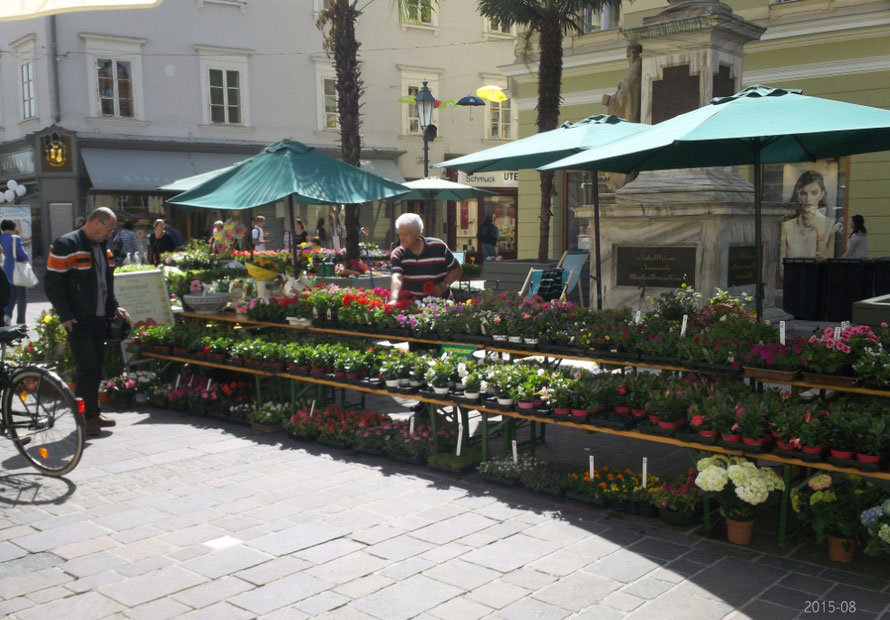 2015 - Alter Platz