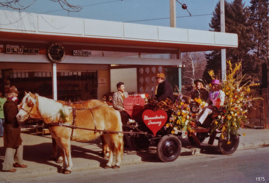 1975 beim Blumen Germ Geschäft