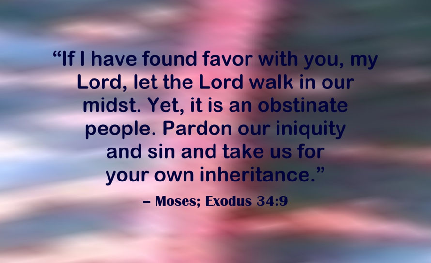 Lord, We are Your Inheritance Quote from Moses; Exodus 34:9
