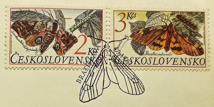 Large Image: Insects on Main Part of the Czechoslovakian First Day Cover of 1994 (2nd of the Set)