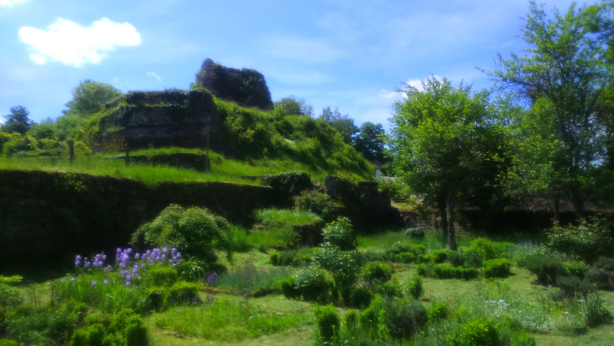 Le site du château de Fontenoy depuis le jardin médiéval (c) A.V.F. 2019