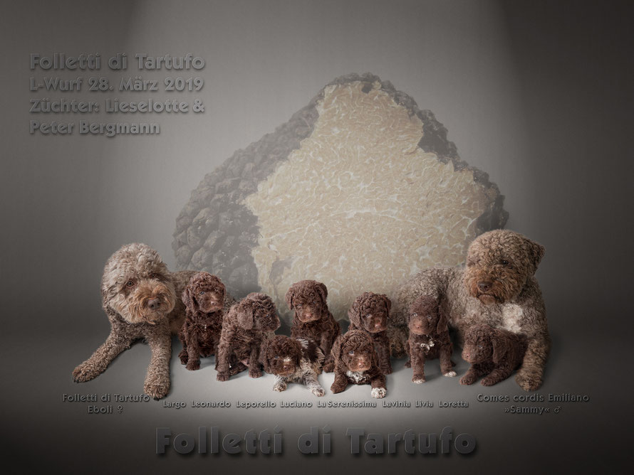 Familienphoto Comes cordis Emiliano »Sammy«  x  Folletti di Tartufo Eboli