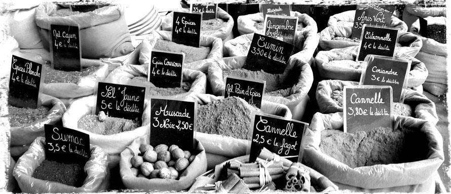Consultation Ayurveda Carcassonne Toulouse Castelnaudary Bram Revel
